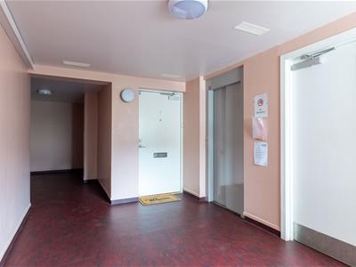 Picture 17
